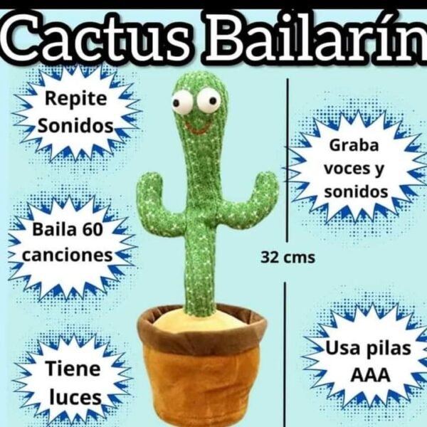 Cactus Bailarín - Image 5